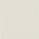 Devonstone Solids 017 STONE  FOSSIL